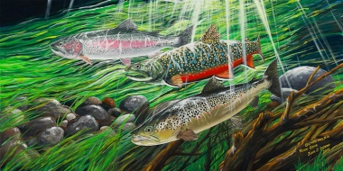 River Gems River Gems