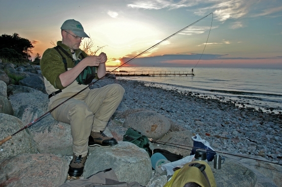 Sunset Martin Sunset Martin