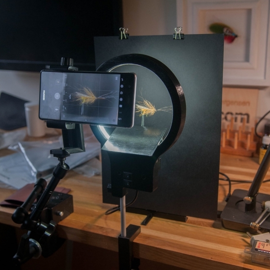 Flies Photo Gadget II Flies Photo Gadget II