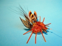 The Ninja Toe Biter The Ninja Toe Biter