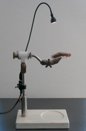 The lamp mounted The lamp mounted