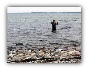 Click for more pictures