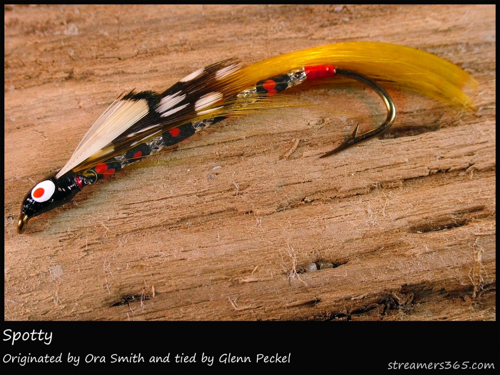 #46 Spotty - Glenn Peckel #46 Spotty - Glenn Peckel