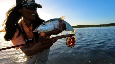 Video thumb for Bonefish Bahamas