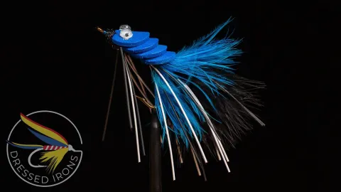 Video thumb for Armadillo