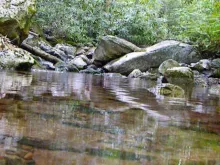 Video thumb for Appalachian Jewels