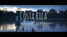 Video thumb for Jungle Tarpon Diaries Vol.1