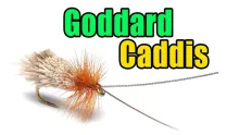 Video thumb for Goddard Caddis