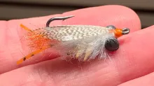Video thumb for Sand crab fly
