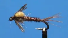 Video thumb for Crackback Sulphur Nymph