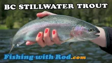 Video thumb for BC stillwater trout