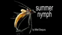 Video thumb for Summer Nymph