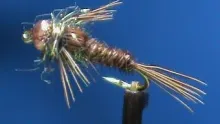 Video thumb for Olive GSS Pheasant Tail