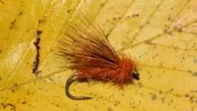 Video thumb for Matt's October Caddis