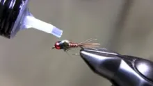 Video thumb for BHFB Pheasant Tail