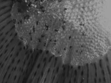 Video thumb for It's About Friends