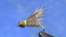 Video thumb for Bullethead Caddisfly