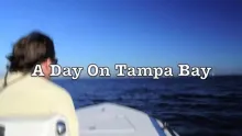 Video thumb for A Day On Tampa Bay With Headshot Charters