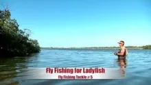 Video thumb for Wading the flats for jacks and ladyfish