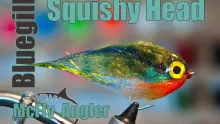 Video thumb for Squishy Head Bluegill