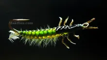 Video thumb for Rhyacophila Caddis Larva