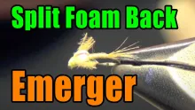 Video thumb for Split Foam Back BWO