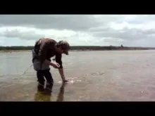 Video thumb for Shallow Waters day one