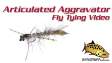 Video thumb for Articulated Aggravator Nymph
