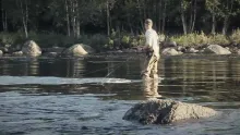 Video thumb for A Fishing Year Along The River Vindelaelven - part 5
