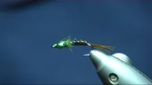 Video thumb for Gilled Pheasant Tail Nymph