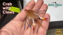 Video thumb for Baby Blue Crab with Claws