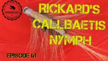Video thumb for Denny Rickard's Callibaetis Nymph