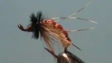Video thumb for Jimbo's Caddis Pupa