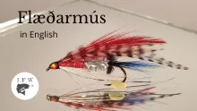 Video thumb for Flæðarmús
