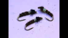 Video thumb for Cased Caddis