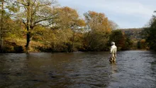 Video thumb for Late Autumn Grayling