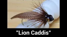 Video thumb for Lion Caddis