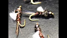 Video thumb for Dead Head Baetis Emerger