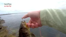 Video thumb for Fishing Oceanside harbor