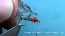 Video thumb for Soft Hackled Pheasant Tail Nymph