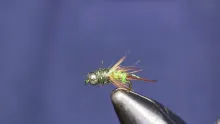 Video thumb for Iced Prince Nymph
