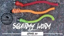 Video thumb for Squirmy Worm 