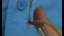 Video thumb for Brown Caddis