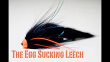 Video thumb for The egg sucking leech  tubefly