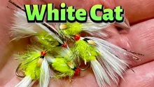 Video thumb for White Cat