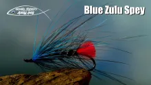 Video thumb for Blue Zulu Spey