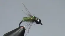 Video thumb for CDC Caddis Pupa 