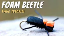 Video thumb for Foam Beetle