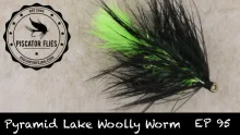 Video thumb for Pyramid Lake Woolly Worm