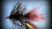 Video thumb for Black Woolly Bugger (w/variations)